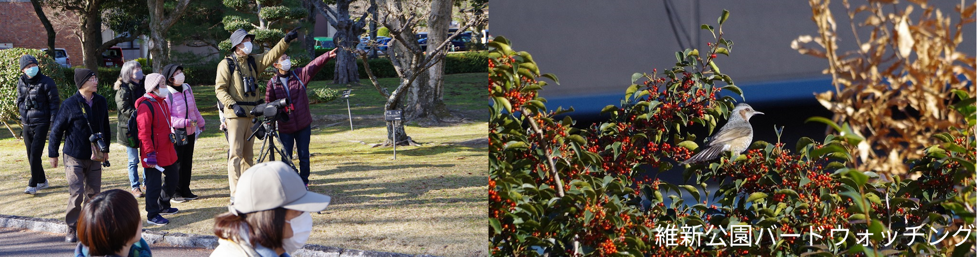 維新公園バードウォッチング