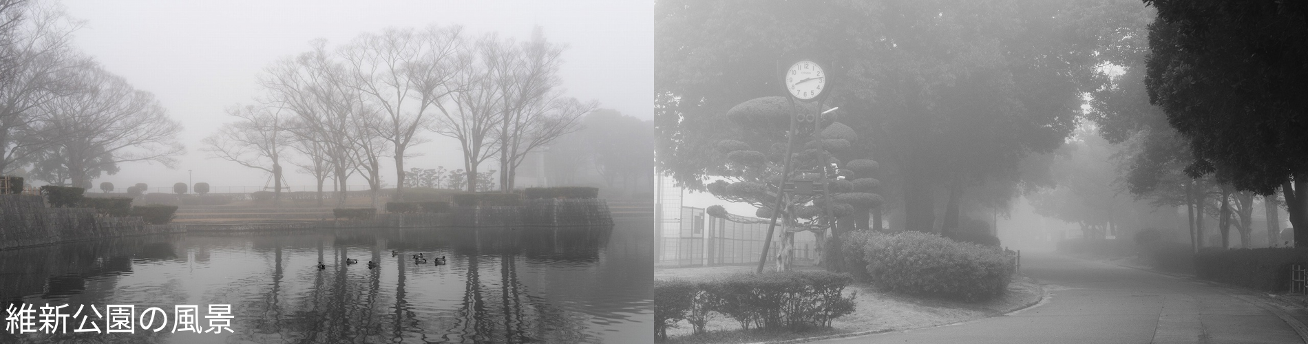 維新公園の風景