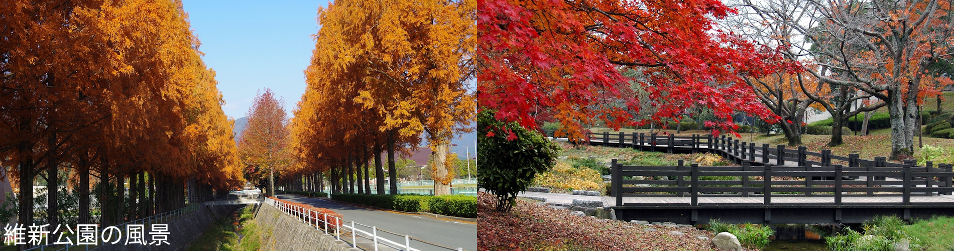 維新公園の風景