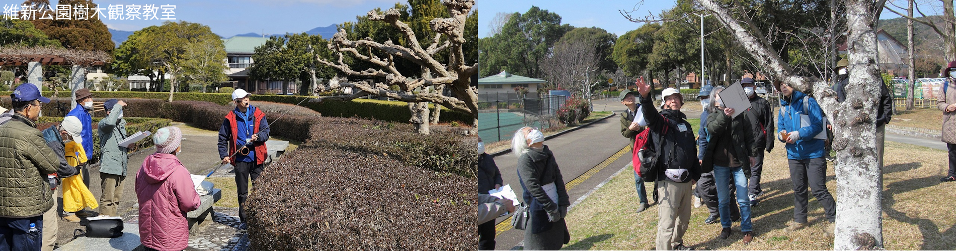 維新公園樹木観察教室