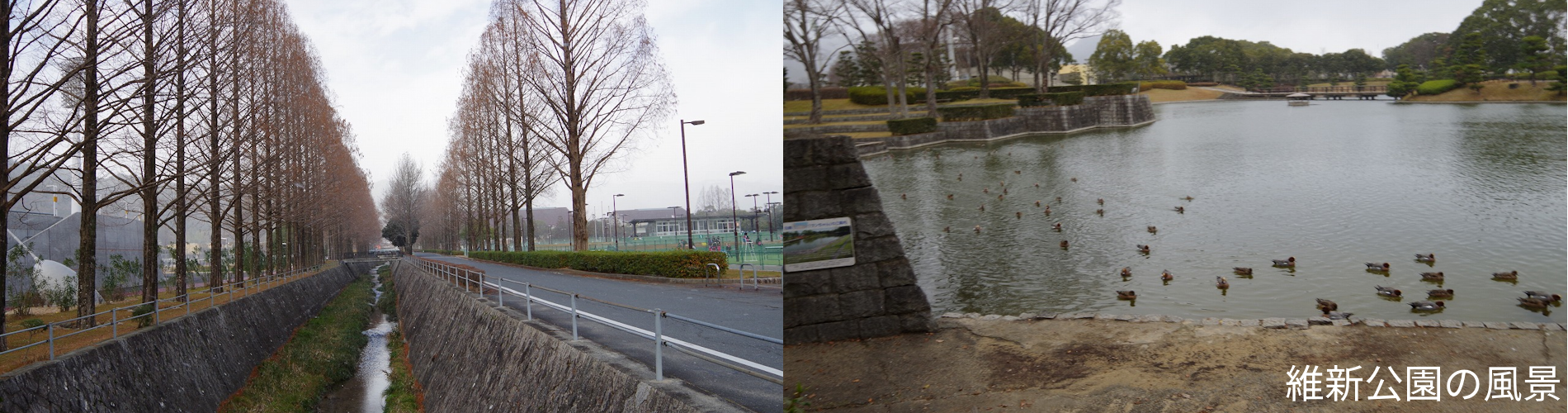 維新公園の風景