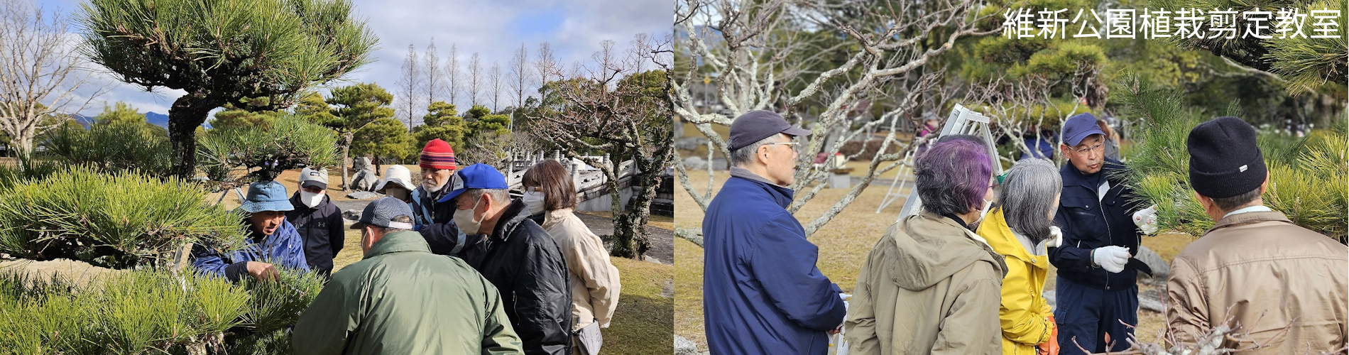 維新公園植栽剪定教室